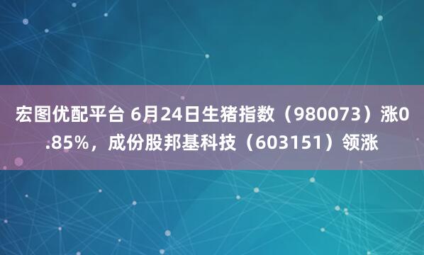 宏图优配平台 6月24日生猪指数（980073）涨0.85%，成份股邦基科技（603151）领涨