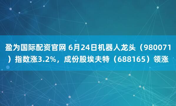 盈为国际配资官网 6月24日机器人龙头（980071）指数涨3.2%，成份股埃夫特（688165）领涨