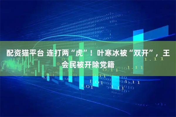 配资猫平台 连打两“虎”！叶寒冰被“双开”，王会民被开除党籍